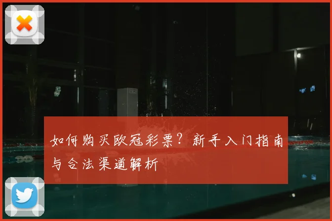 如何购买欧冠彩票？新手入门指南与合法渠道解析