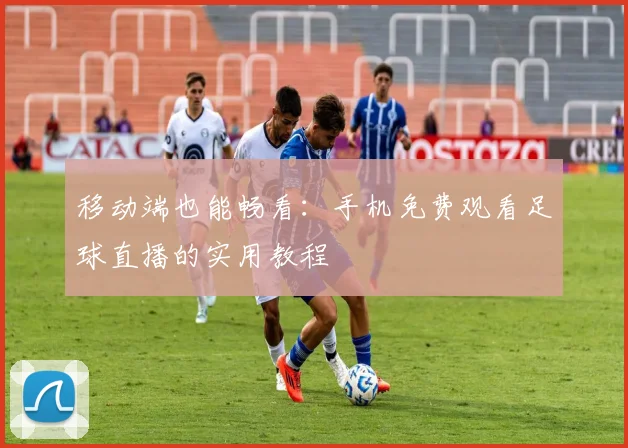 移动端也能畅看：手机免费观看足球直播的实用教程