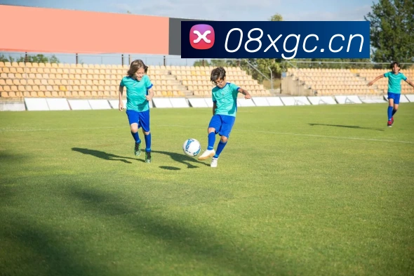 乐鱼官网入口登录发展历程